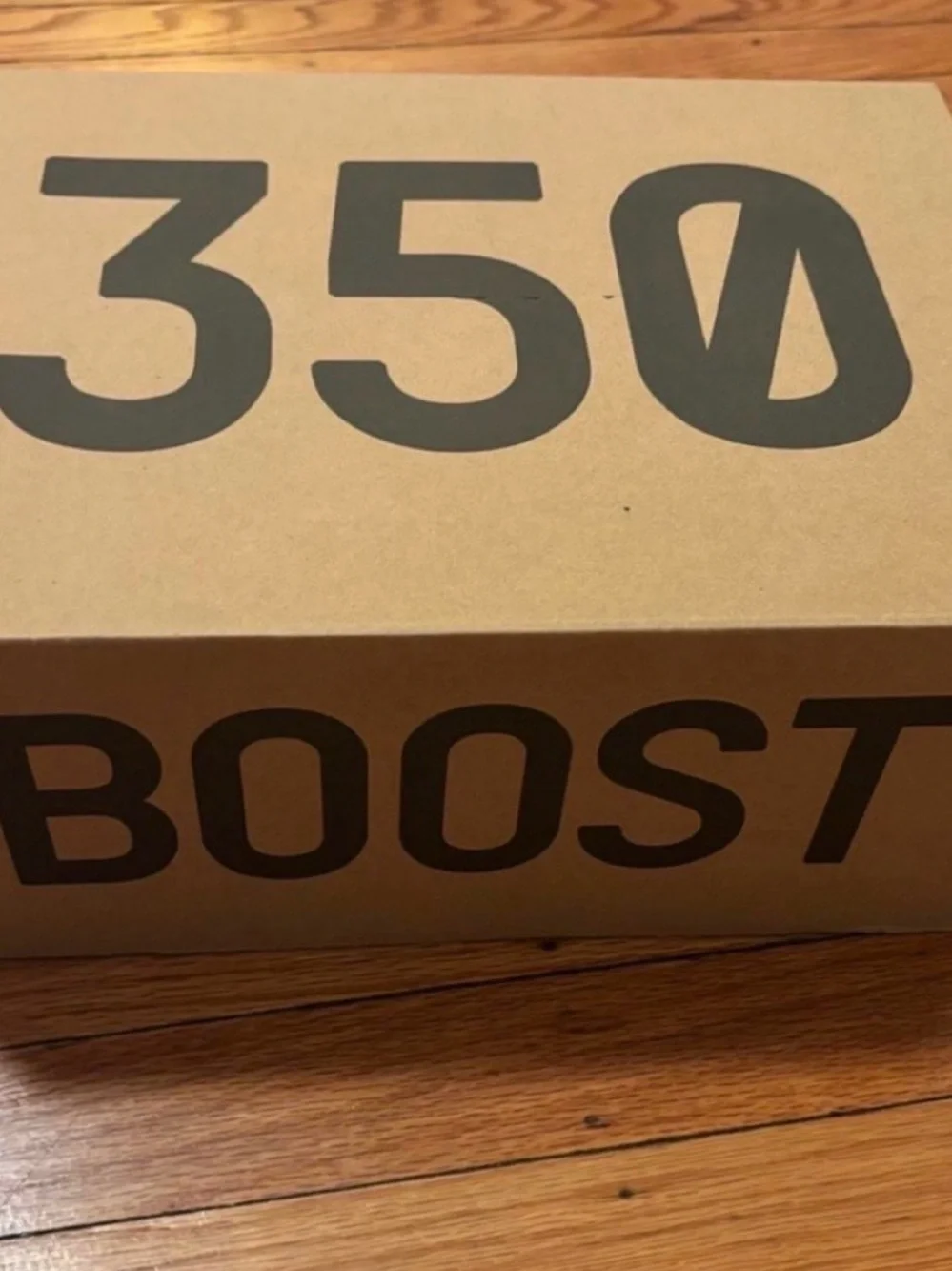 Black Adidas Yeezy 350 V2 Sneakers
